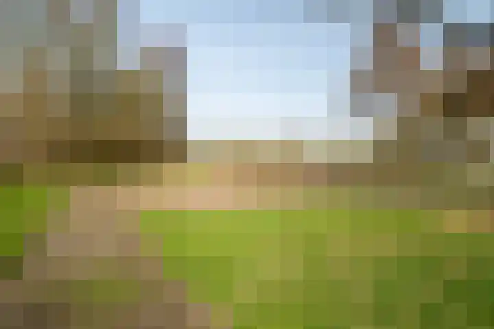 W Jaasmasingel 56 Dwingeloo thumbnail 29