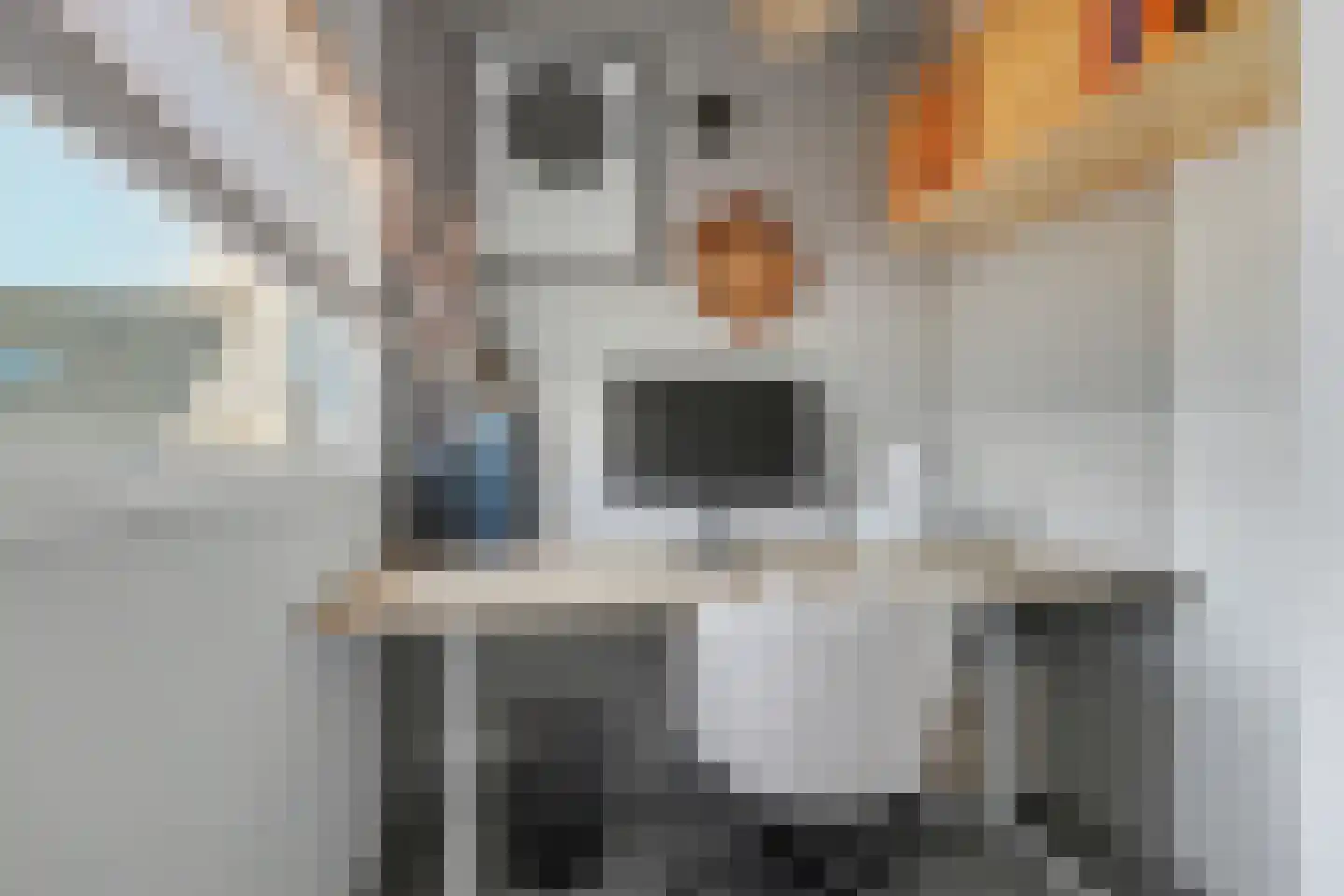 W Jaasmasingel 56 Dwingeloo thumbnail 35