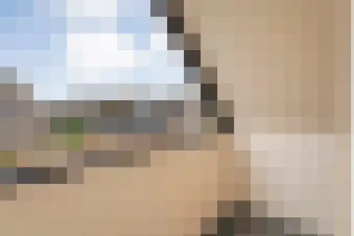 W Jaasmasingel 67 Dwingeloo thumbnail 40
