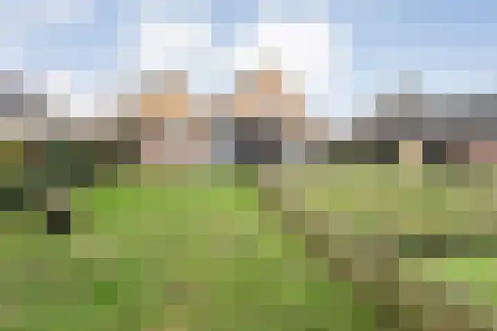 W Jaasmasingel 67 Dwingeloo thumbnail 50