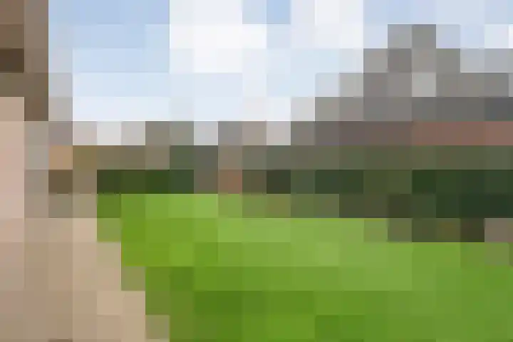 W Jaasmasingel 67 Dwingeloo thumbnail 51