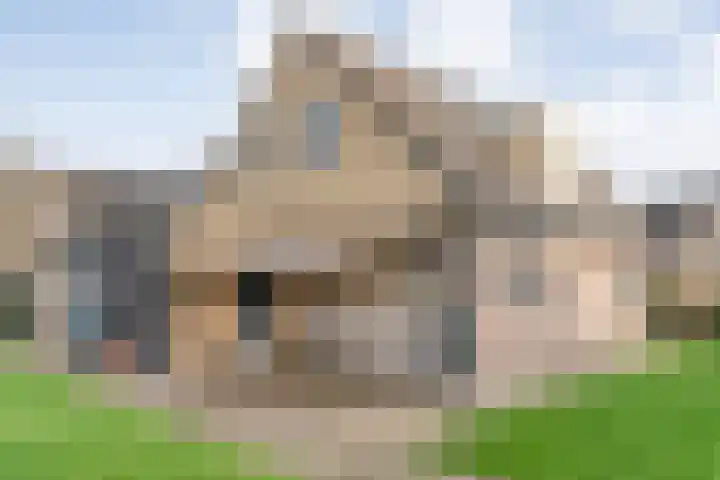 W Jaasmasingel 67 Dwingeloo thumbnail 57
