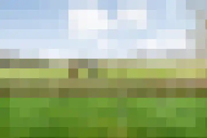 W Jaasmasingel 67 Dwingeloo thumbnail 60