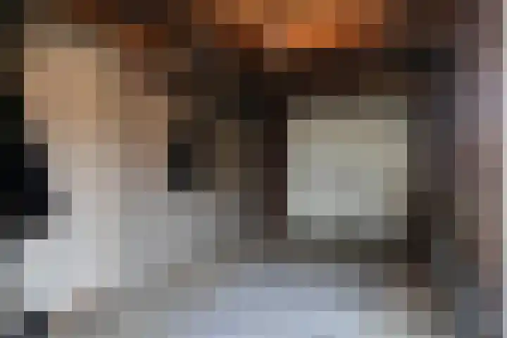 W Koningstrjitte 5 Tzummarum thumbnail 30