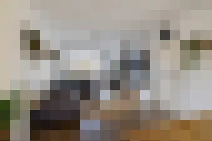 W Kroesestrjitte 20 Sexbierum thumbnail 10