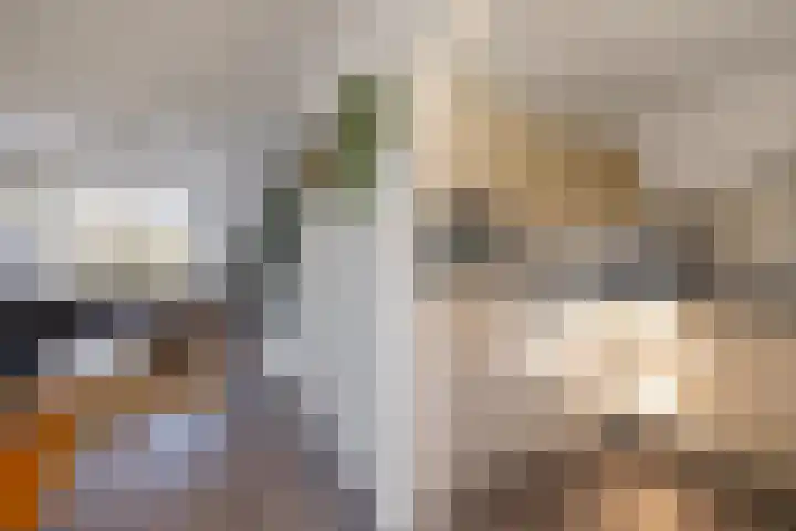 W Kroesestrjitte 20 Sexbierum thumbnail 11