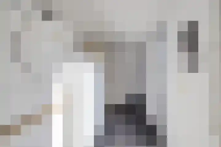 W Kroesestrjitte 20 Sexbierum thumbnail 13