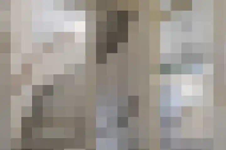 W Kroesestrjitte 20 Sexbierum thumbnail 19
