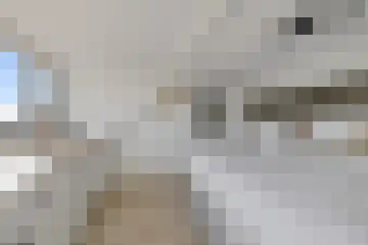 W Kroesestrjitte 20 Sexbierum thumbnail 22