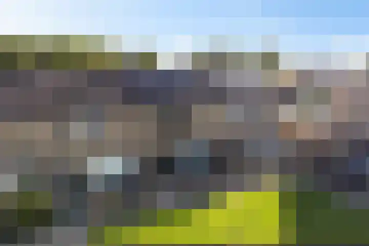 W Kroesestrjitte 20 Sexbierum thumbnail 31
