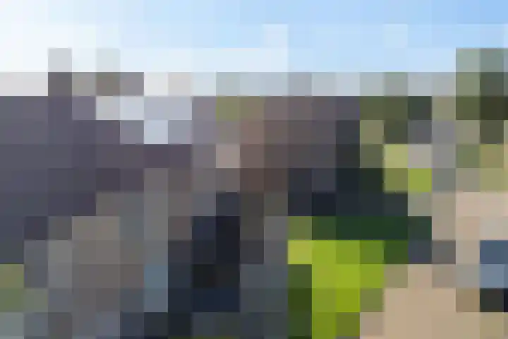 W Kroesestrjitte 20 Sexbierum thumbnail 33