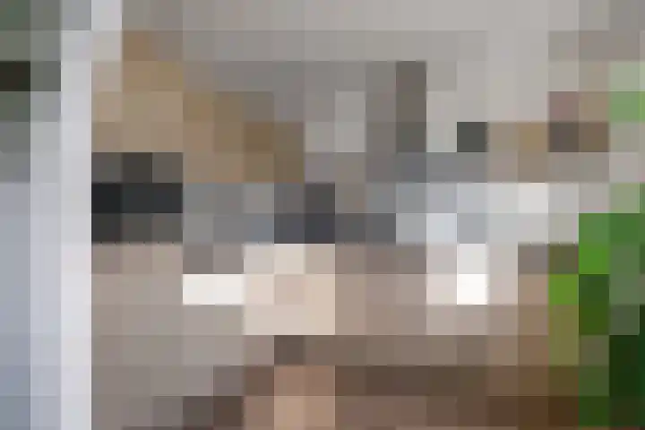 W Kroesestrjitte 20 Sexbierum thumbnail 4