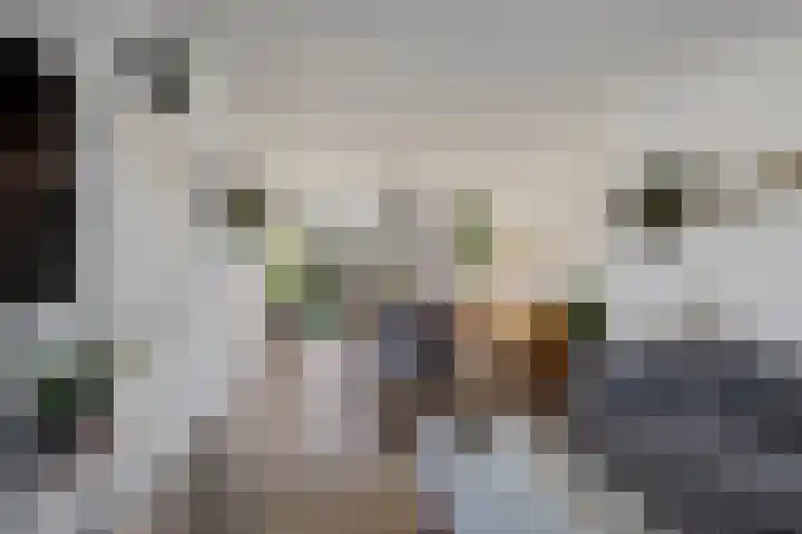 W Kroesestrjitte 20 Sexbierum thumbnail 6