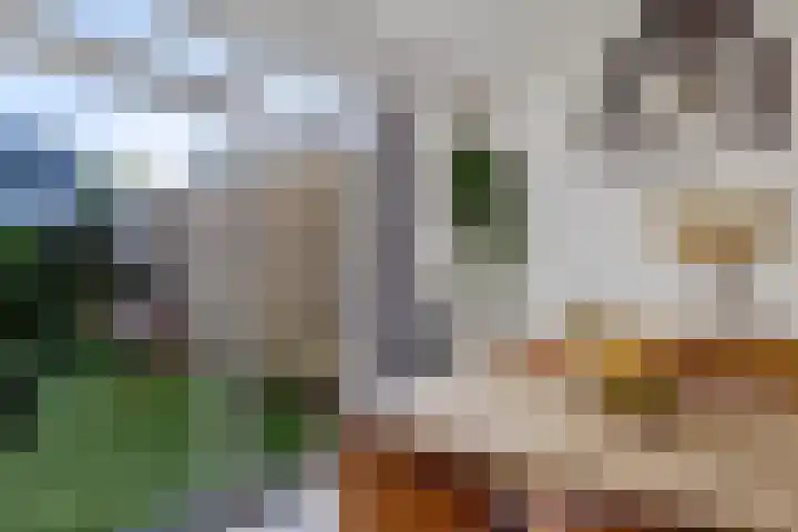 W Kroesestrjitte 20 Sexbierum thumbnail 8