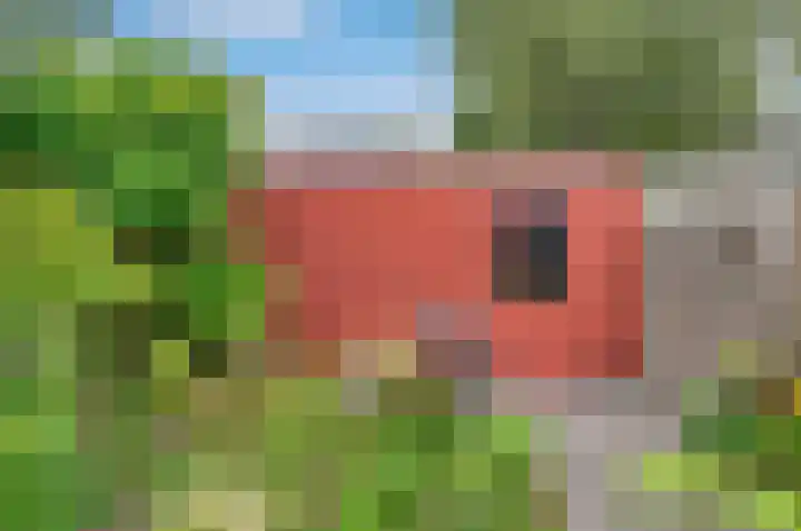 W.L.S. Churchillstraat 21 Groningen thumbnail 33