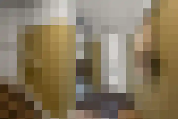 W.M. Dudokstraat 15 Assendelft thumbnail 11