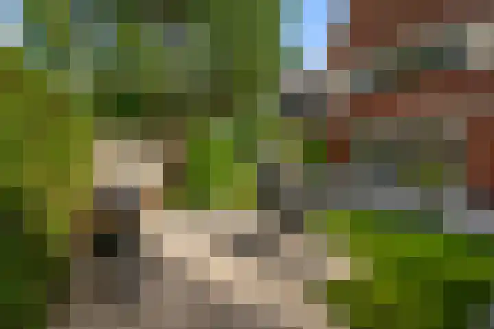 W.M. Dudokstraat 15 Assendelft thumbnail 13