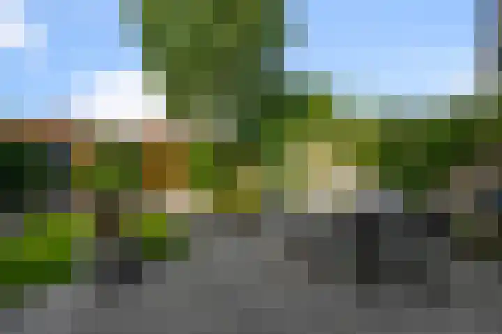 W.M. Dudokstraat 15 Assendelft thumbnail 16