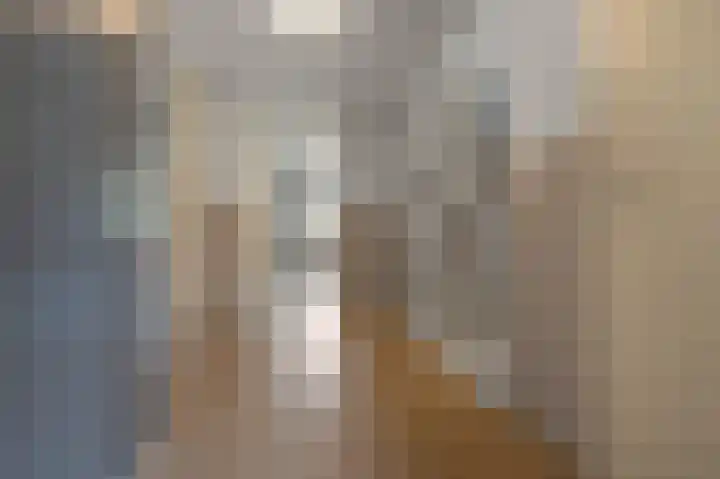 W.M. Dudokstraat 15 Assendelft thumbnail 18