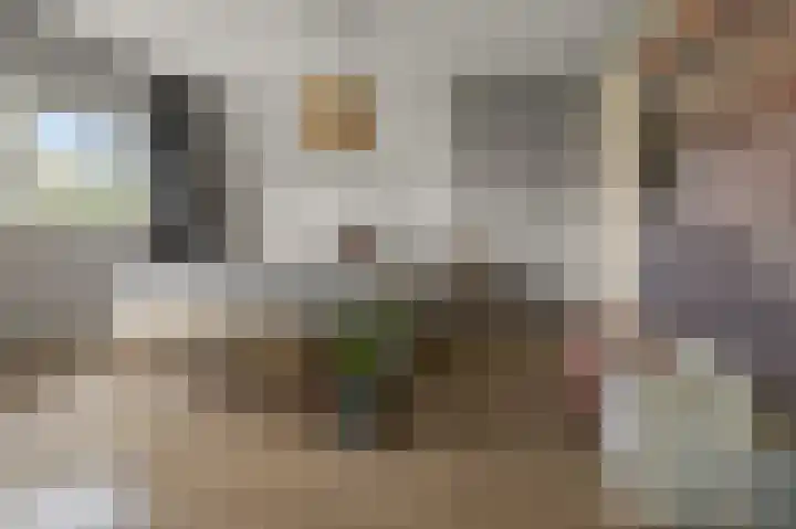 W.M. Dudokstraat 15 Assendelft thumbnail 20