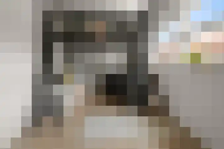 W.M. Dudokstraat 15 Assendelft thumbnail 21