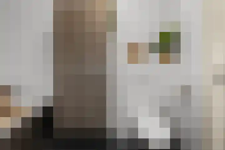 W.M. Dudokstraat 15 Assendelft thumbnail 29