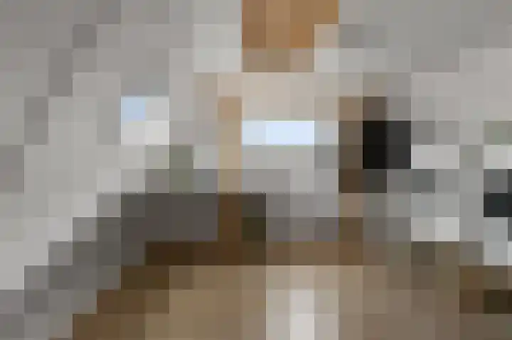 W.M. Dudokstraat 15 Assendelft thumbnail 30