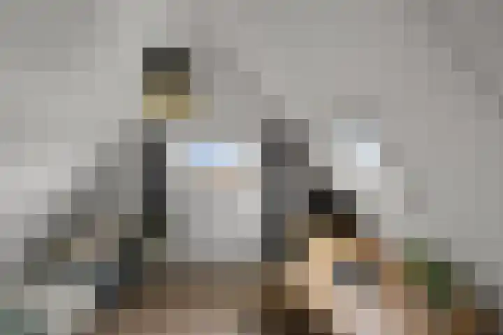 W.M. Dudokstraat 15 Assendelft thumbnail 32