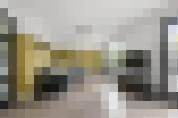 W.M. Dudokstraat 15 Assendelft thumbnail 6