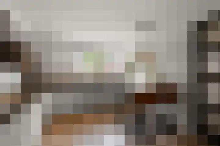 W.M. Dudokstraat 15 Assendelft thumbnail 8