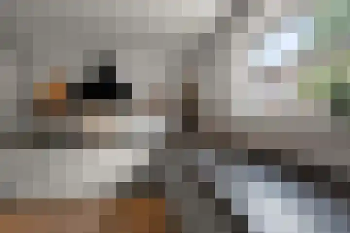W.M. Dudokstraat 15 Assendelft thumbnail 9