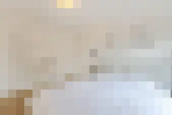 W.M. Dudokstraat 40 Assendelft thumbnail 11