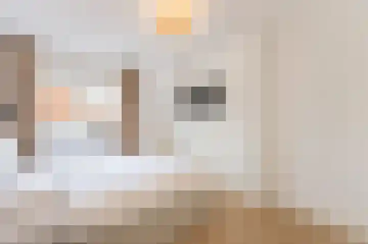 W.M. Dudokstraat 40 Assendelft thumbnail 13