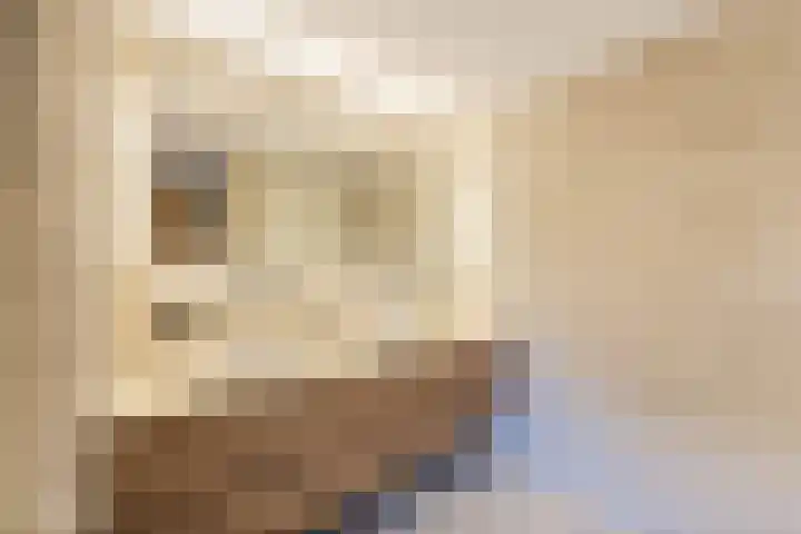W.M. Dudokstraat 40 Assendelft thumbnail 18