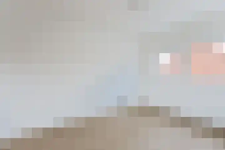 W.M. Dudokstraat 40 Assendelft thumbnail 20
