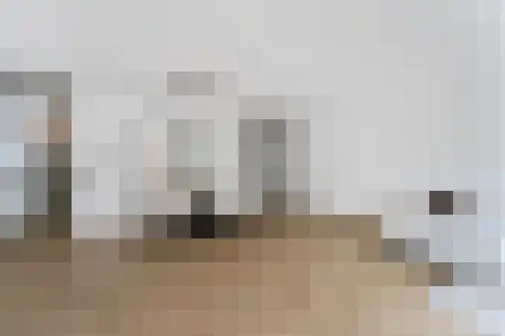 W.M. Dudokstraat 40 Assendelft thumbnail 4