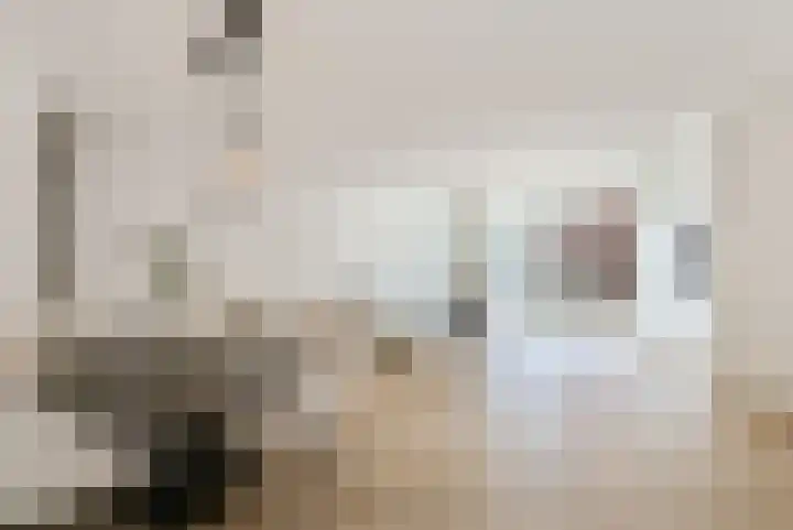 W.M. Dudokstraat 40 Assendelft thumbnail 6