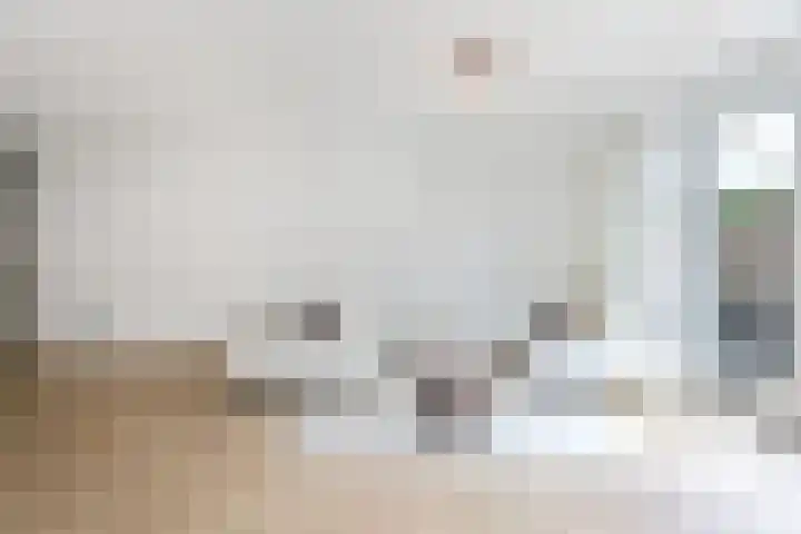 W.M. Dudokstraat 40 Assendelft thumbnail 7