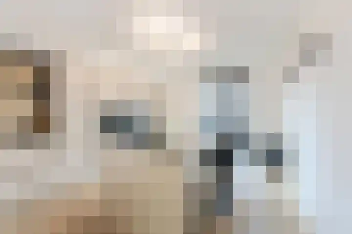 W.M. Dudokstraat 40 Assendelft thumbnail 8