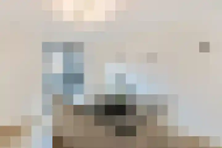 W.M. Dudokstraat 40 Assendelft thumbnail 9