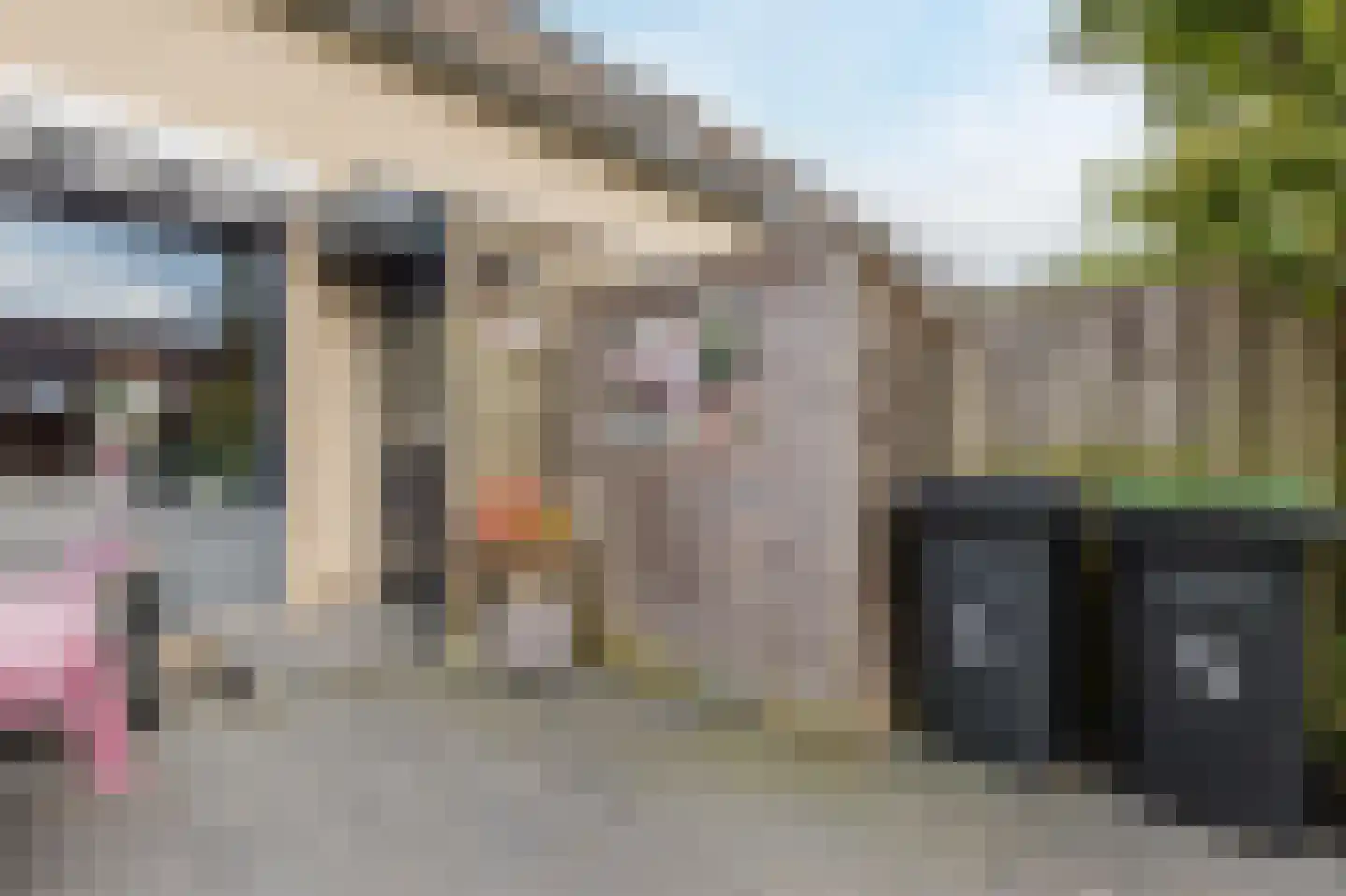 W.M. Dudokstraat 51 Almere thumbnail 53