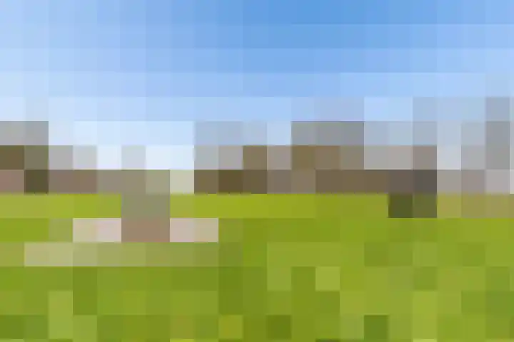 W.M. Dudokstraat 65 Almere thumbnail 49