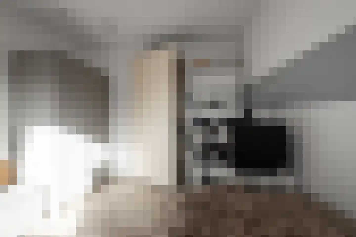 W.M. Dudokstraat 68 Assendelft thumbnail 19