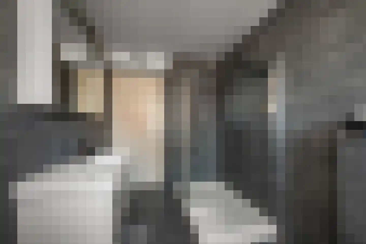 W.M. Dudokstraat 68 Assendelft thumbnail 20