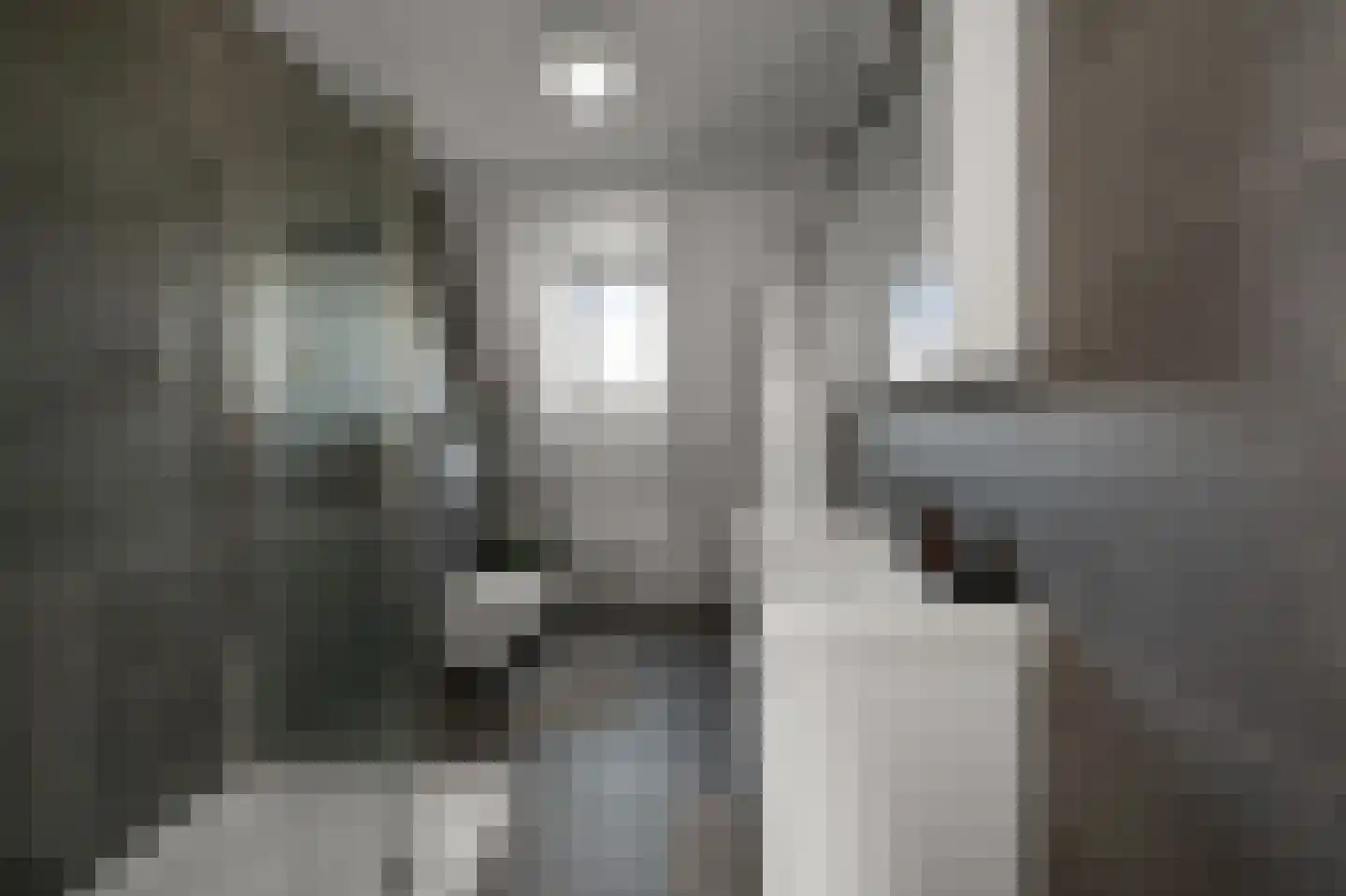 W.M. Dudokstraat 68 Assendelft thumbnail 22