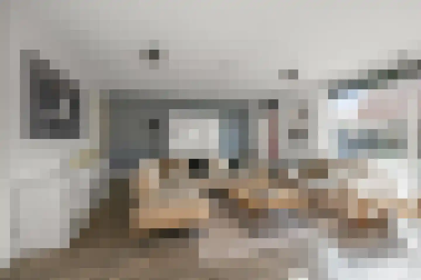 W.M. Dudokstraat 68 Assendelft thumbnail 4