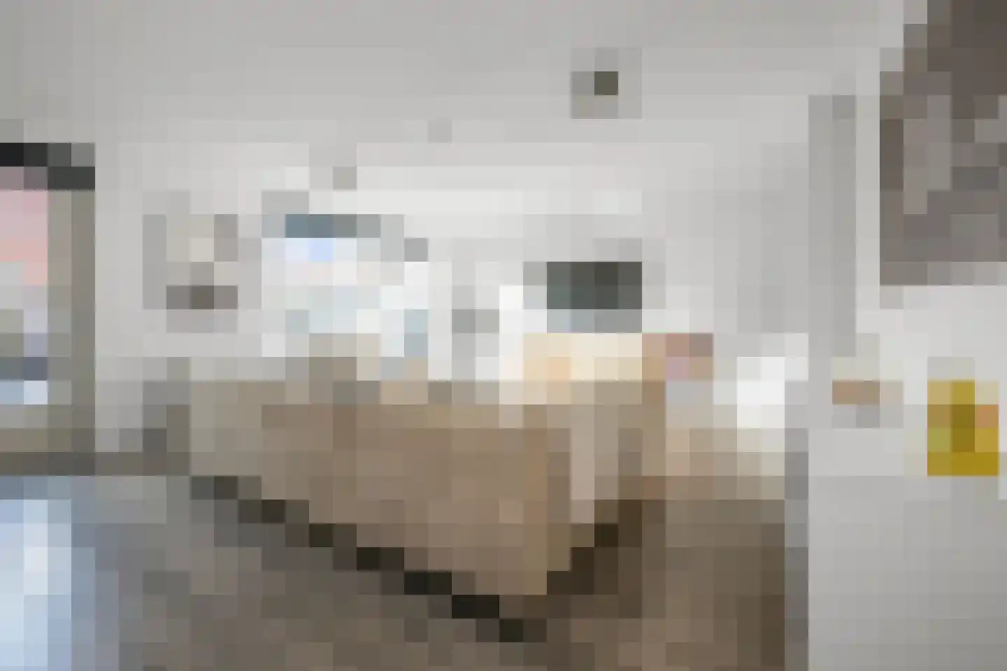 W.M. Dudokstraat 68 Assendelft thumbnail 5