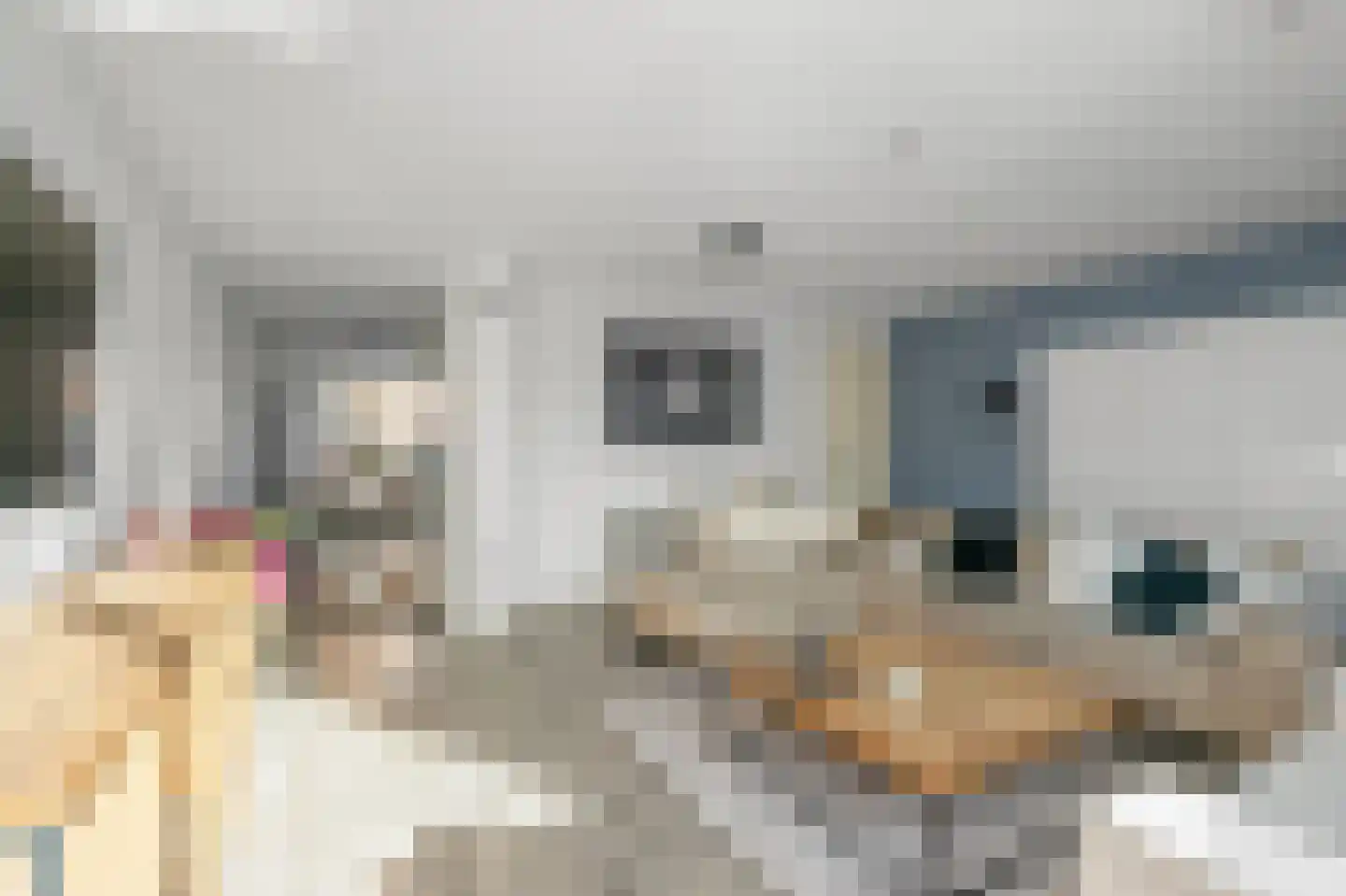 W.M. Dudokstraat 68 Assendelft thumbnail 6