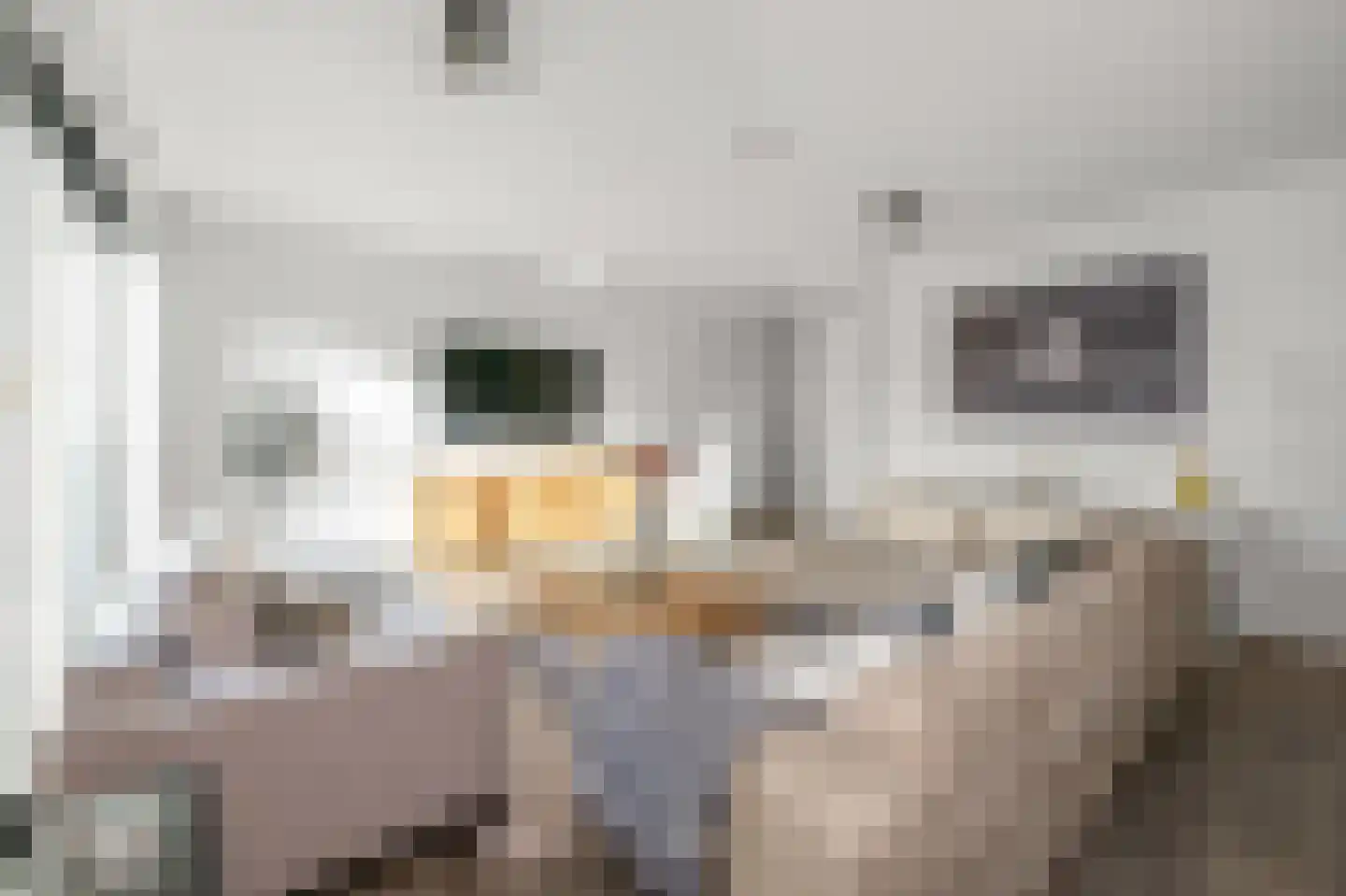 W.M. Dudokstraat 68 Assendelft thumbnail 7