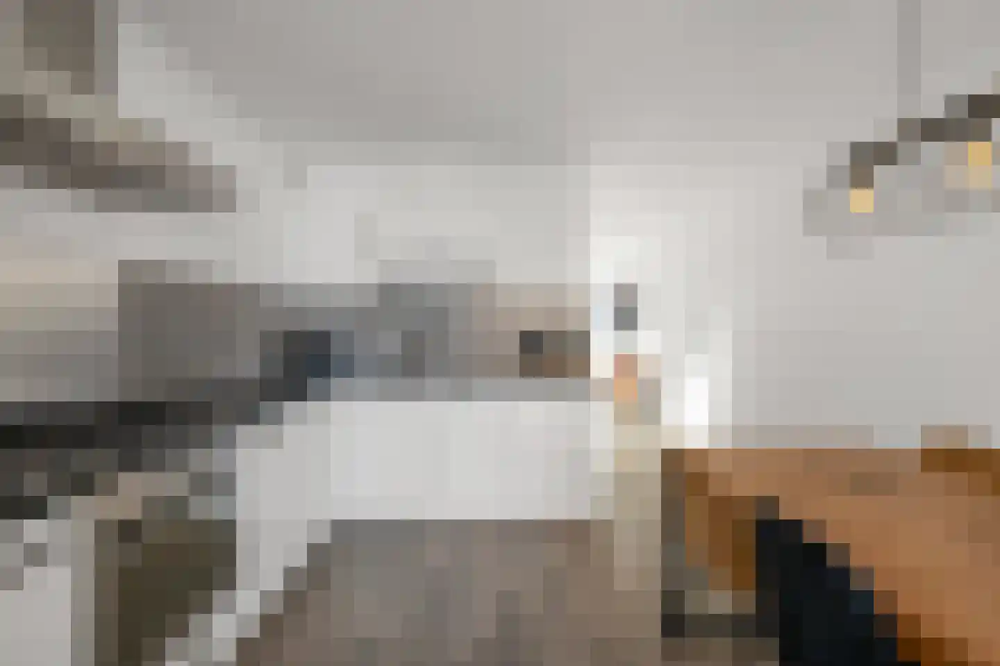 W.M. Dudokstraat 68 Assendelft thumbnail 9